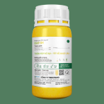 DAP.SH — ảnh 3