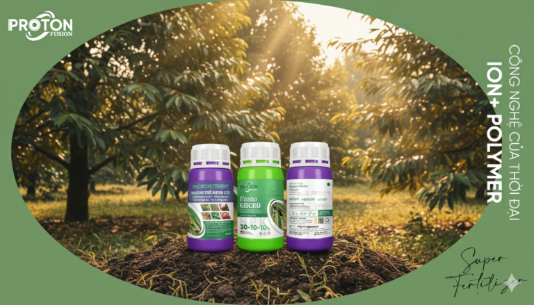 Fnano Micro và Phyto Green: Bộ đôi dưỡng cơi cuối giúp sầu riêng ra bông đồng loạt