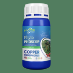 Phyto Phoscop — ảnh 2