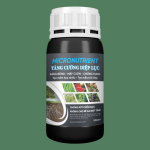 Roots Dry Care — ảnh 1
