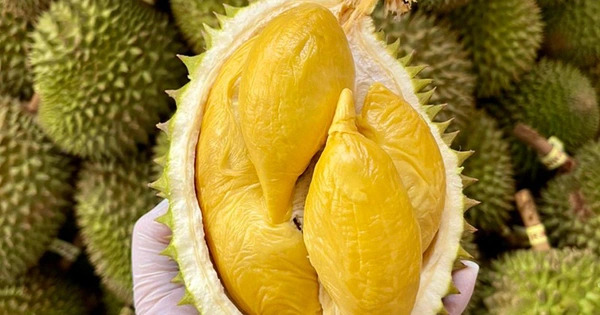 Dinh dưỡng & bón phân cho cây ăn trái