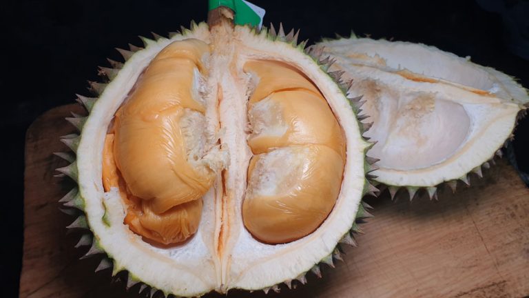 Cách Bổ Sầu Riêng Tại Nhà Đúng Kỹ Thuật: Múi Nguyên Vẹn, Cơm Không Sượng