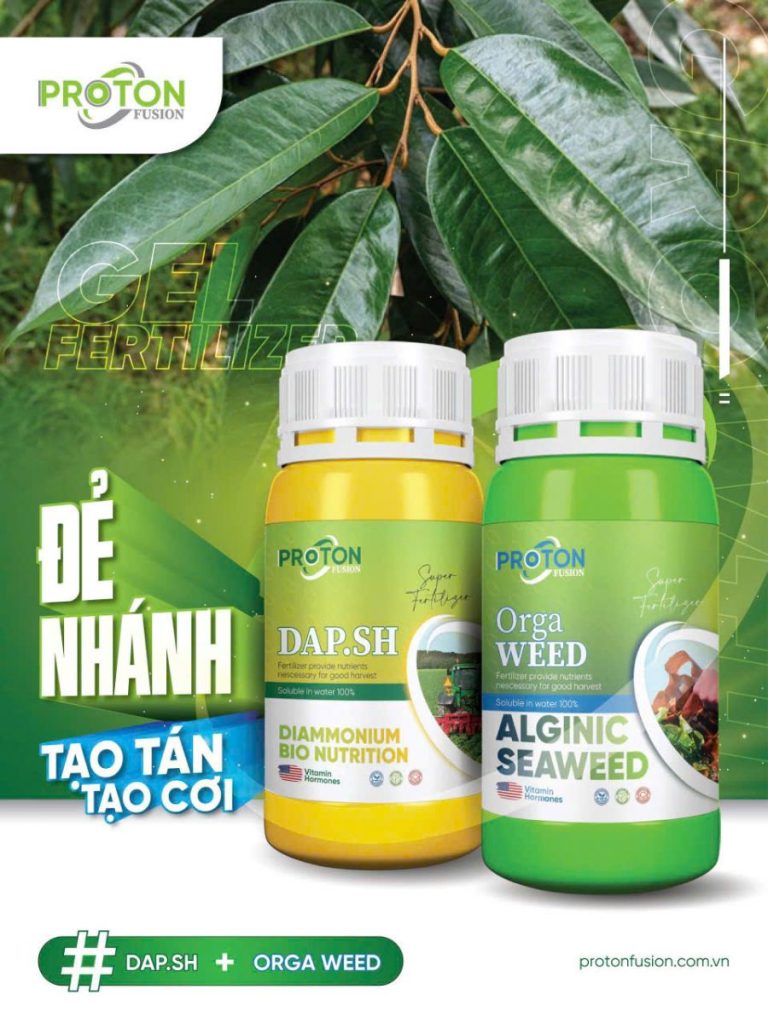 DAP.SH + Orga Weed: Bộ Đôi Giúp Sầu Riêng Đẻ Nhánh, Tạo Tán, Ra Cơi Khỏe