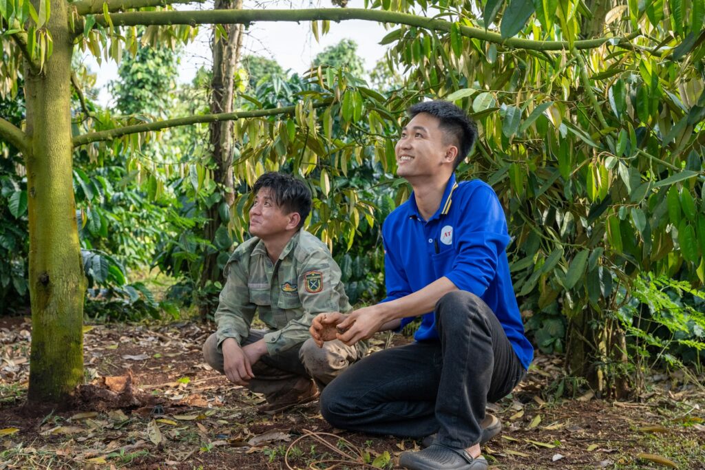 Kỹ sư cùng nhà vườn kiểm tra đất và rễ dưới gốc sầu riêng