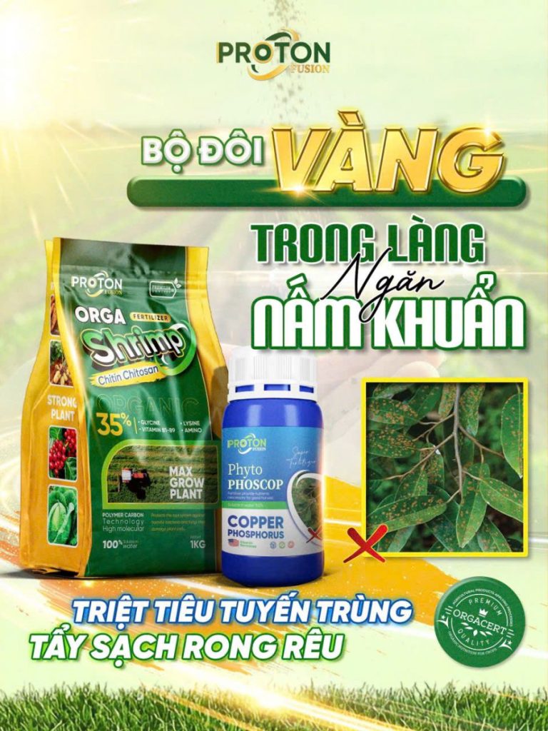 Bộ Đôi Phòng Nấm Khuẩn Cho Sầu Riêng: Orga Shrimp Và Phyto Phoscop