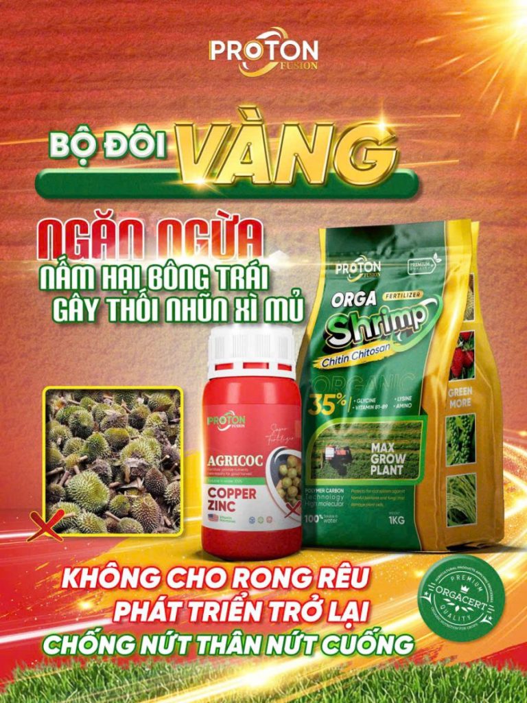 Bộ đôi Orga Shrimp và Agricoc: Giải pháp ngăn xì mủ, thối nhũn cho cây ăn trái