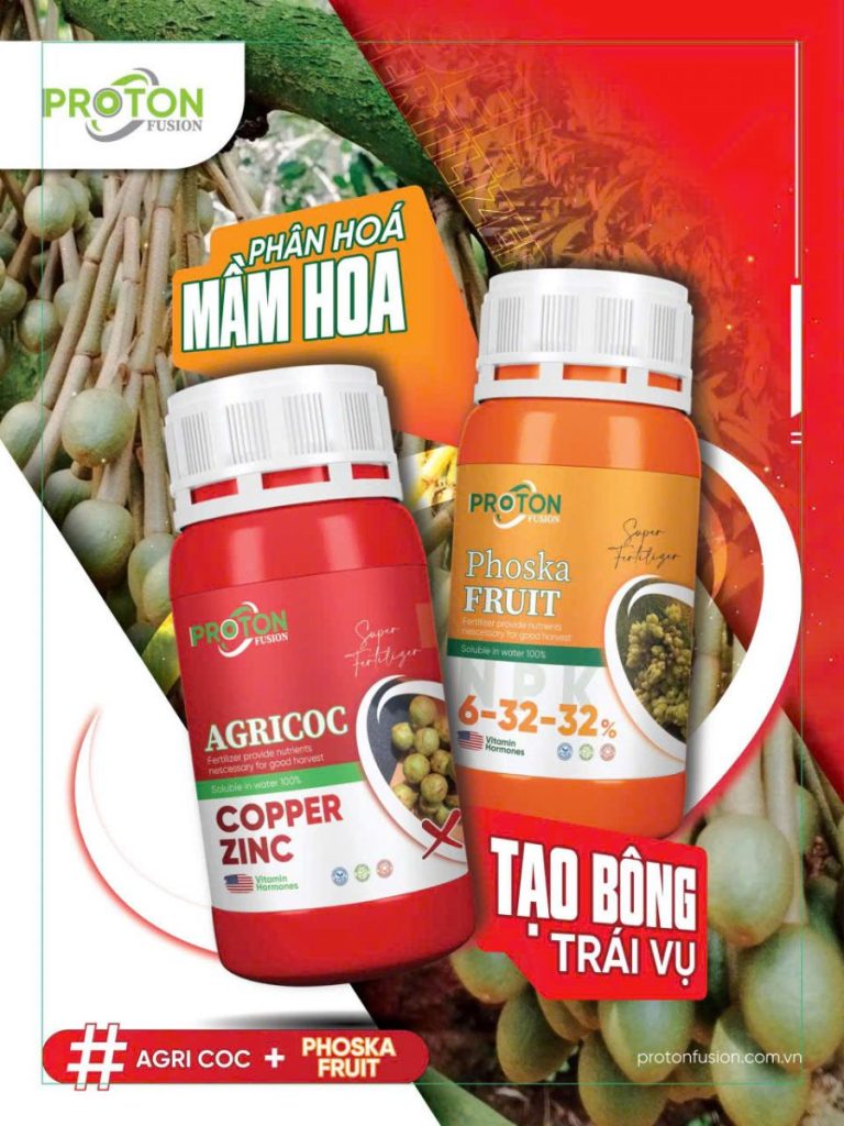 Bộ Đôi Vàng Phân Hóa Mầm Hoa: Bí Quyết Tạo Bông Trái Vụ Đồng Loạt, Đậu Trái Cao
