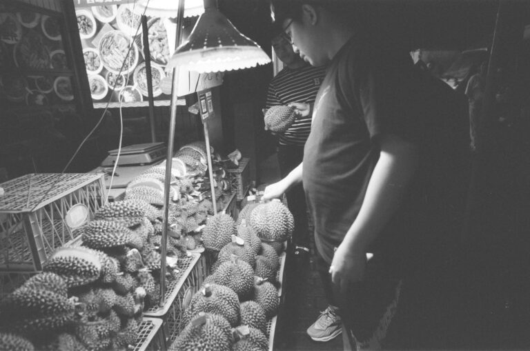 sầu riêng chín muộn