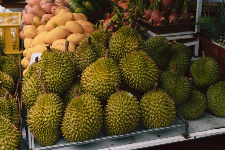 Sầu Riêng Nứt Vỏ Mùa Mưa: Nguyên Nhân Và Cách Ngăn Chặn Hiệu Quả